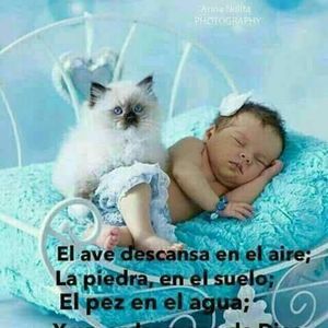 Meet your Posher, Adriana